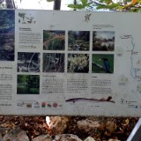 2409F 020 Brenz Muendung